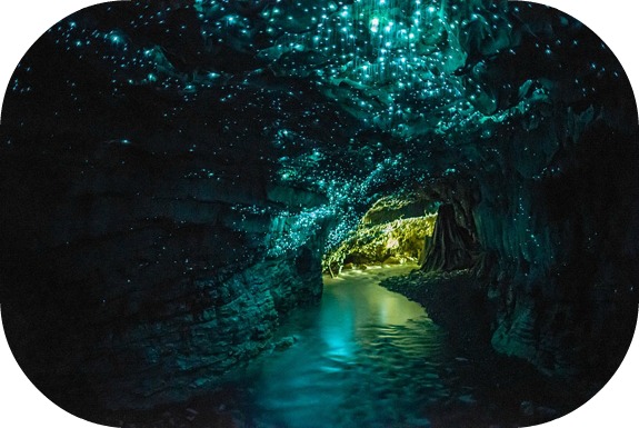 Waitomo Glowworm  Cave  was first "discovered" by a native Maori chief and an Englishman. Since their discovery, this cave on the North Island of New Zealand attracts close to 400,000 visitors a year.