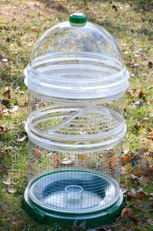 Biobubble 2024 hamster cage