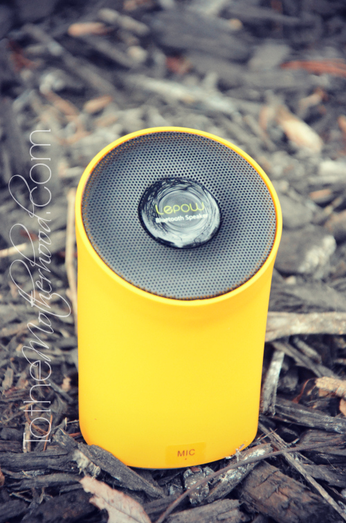 Lepow Bluetooth Speaker