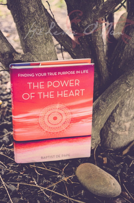 The Power of the Heart by Baptist de Pape