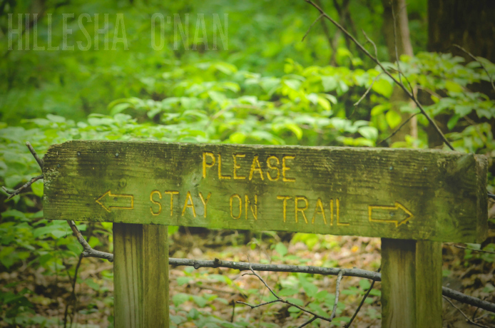 Wesselman Woods Nature Preserve Please Stay on the Trail Sign