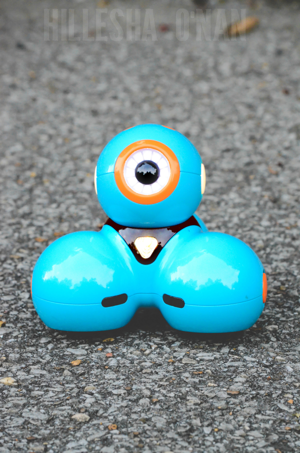 dash robot