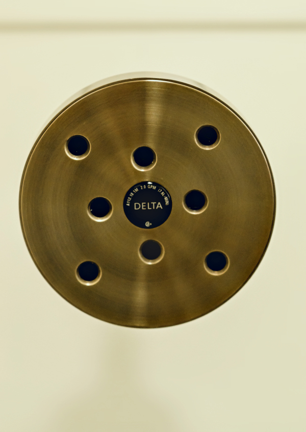 Delta H2Okinetic Raincan Single-Setting Shower Head Review