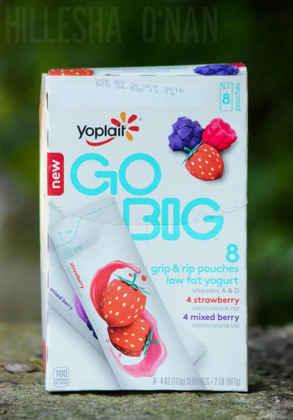 yoplait-go-big-pouch-review
