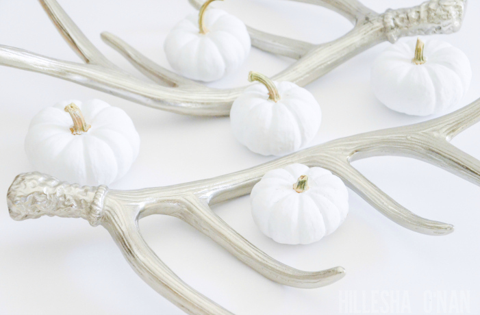 antlers-and-white-pumpkins