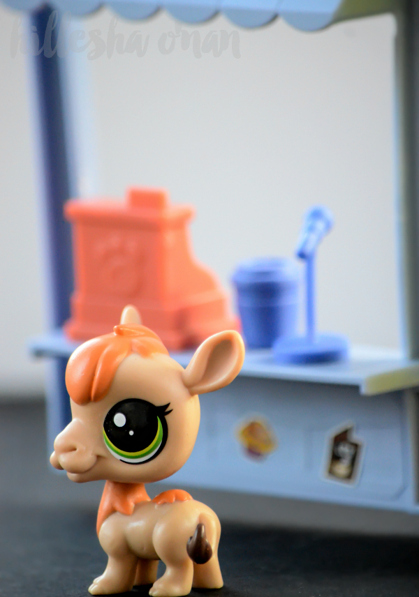 The Littlest Pet Shop: Little Pets, Big Adventures