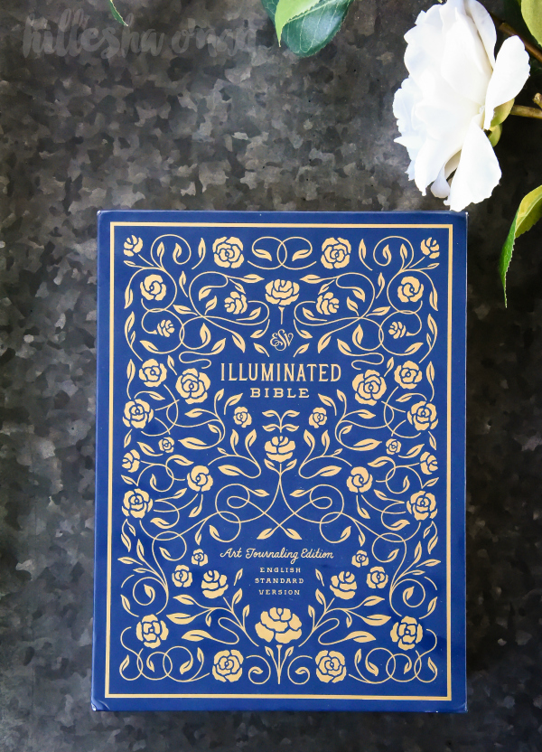 Reflect on the Beauty of God's Word with ESV Illuminated Bible