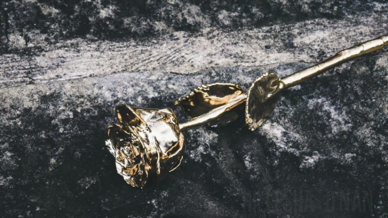 Eternity Roses Gold 24k Gold-Dipped Roses + Eternity Rose Review