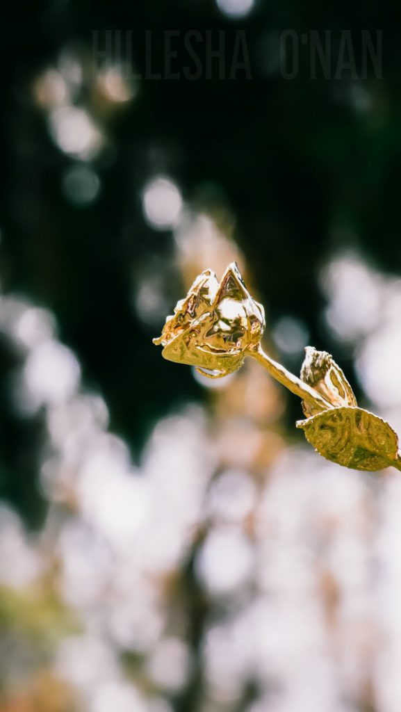 Eternity Roses Gold 24k Gold-Dipped Roses + Eternity Rose Review