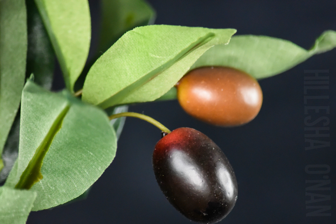 Silk Plants Direct Olive Tree