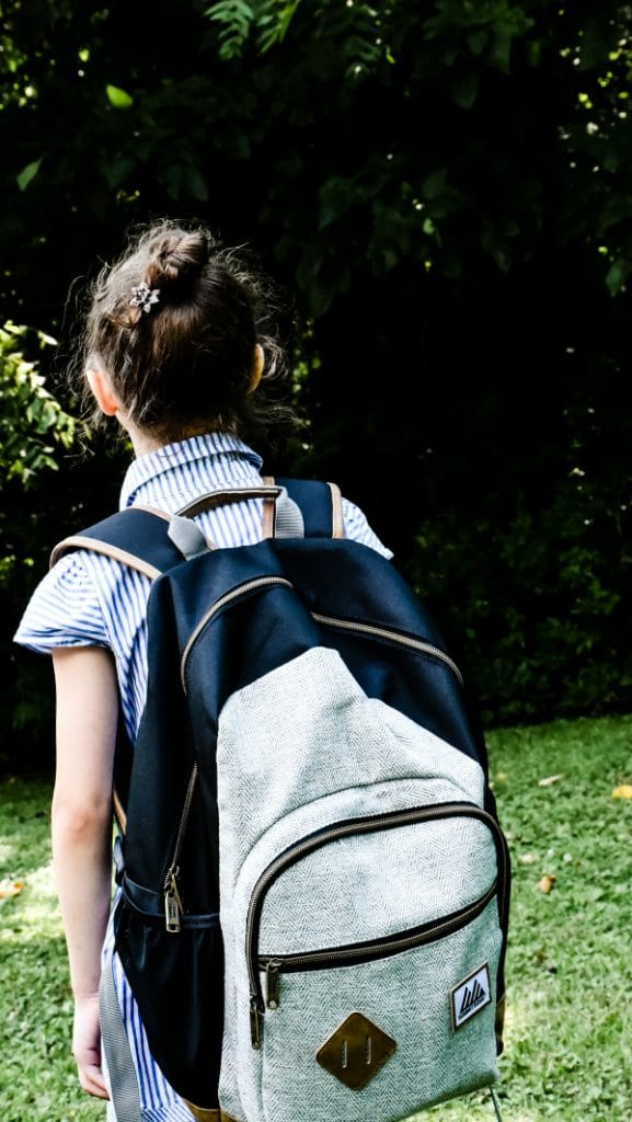 Summit Ridge Herringbone Backpack Review