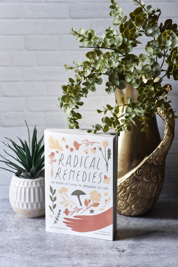 Radical Remedies by Brittany Ducham