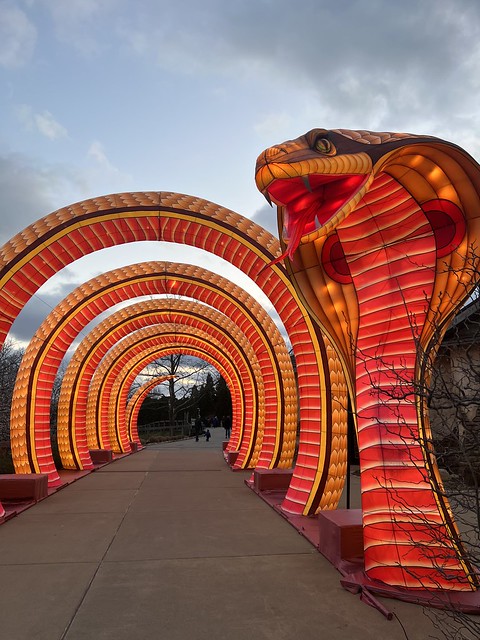 Wild Lights Around the World at Louisville Zoo Review